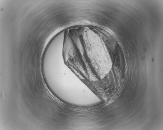 X0000052641326200507221805