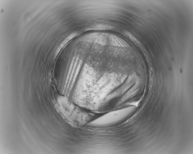 X0000052641329200507221805