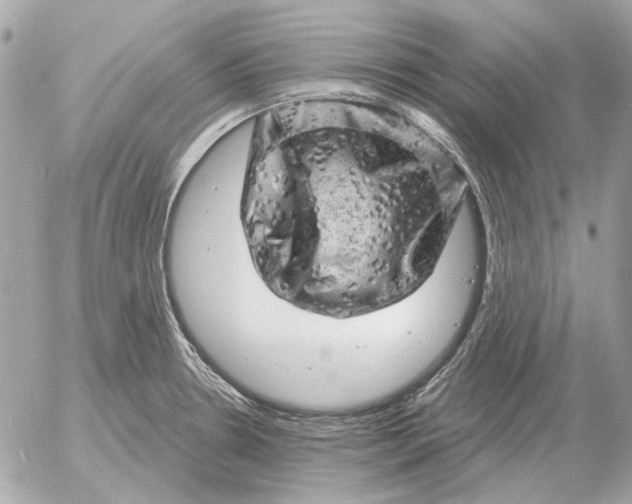 X0000052641330200507221805