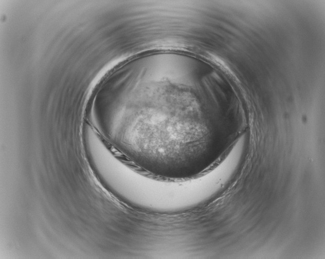 X0000052641331200507221805