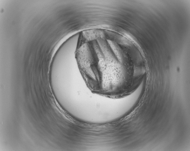 X0000052641332200507221805