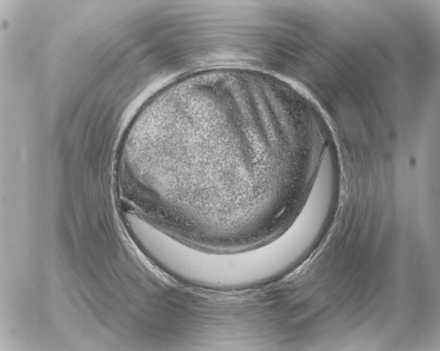 X0000052641333200507221805