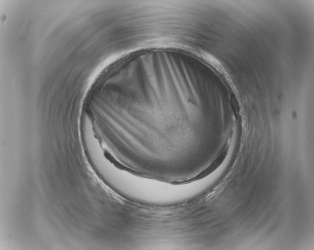 X0000052641334200507221805