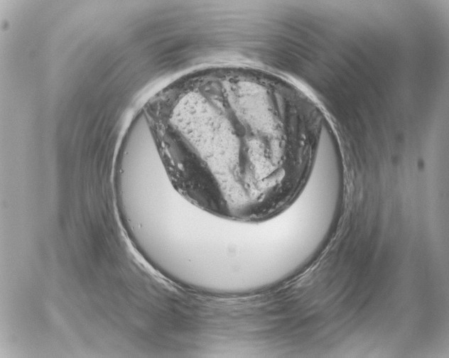 X0000052641335200507221805