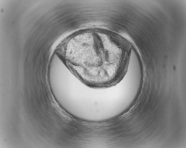 X0000052641336200507221805