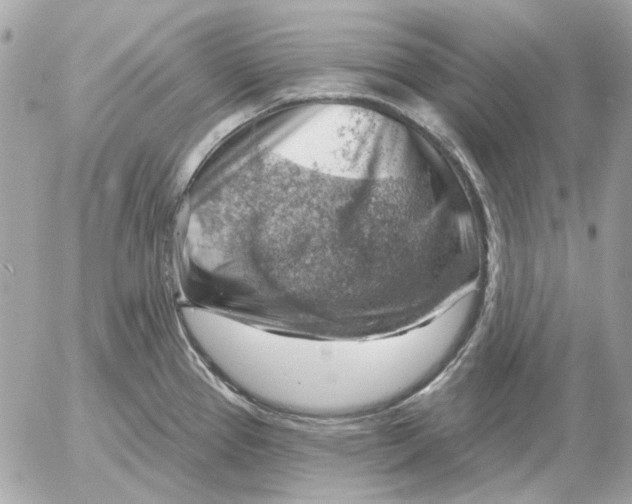 X0000052641337200507221805