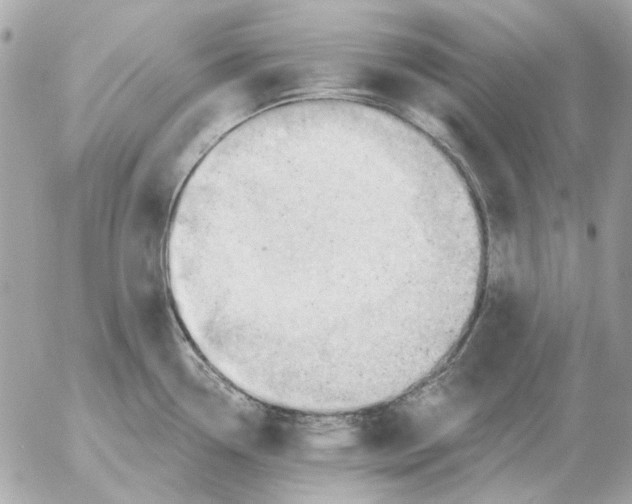 X0000052641338200507221805