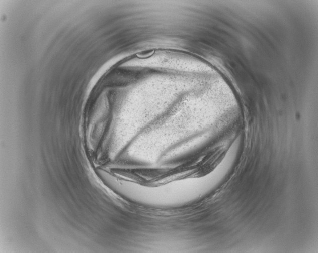 X0000052641339200507221805