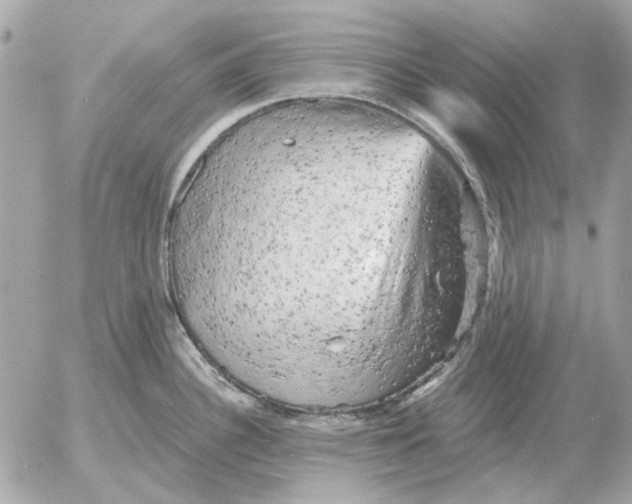 X0000052641340200507221805