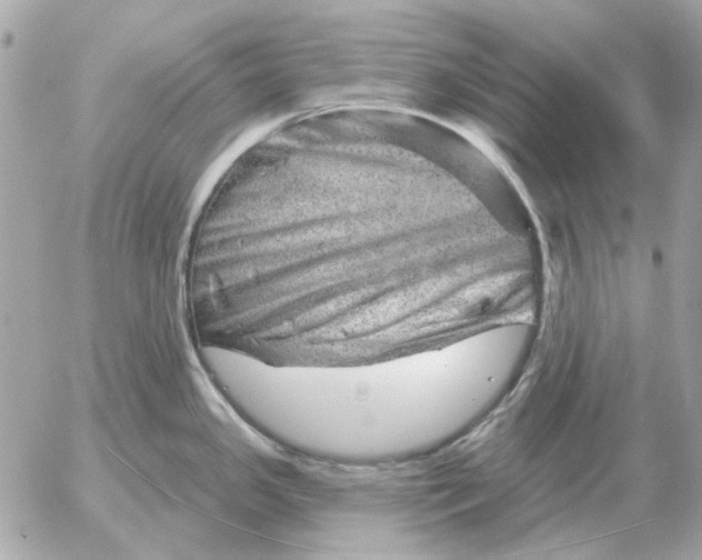 X0000052641341200507221805