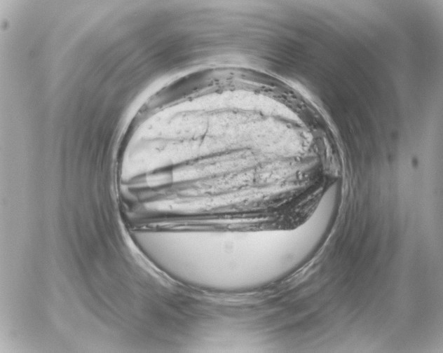 X0000052641342200507221806