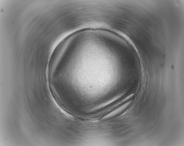 X0000052641343200507221806