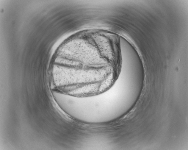 X0000052641344200507221806