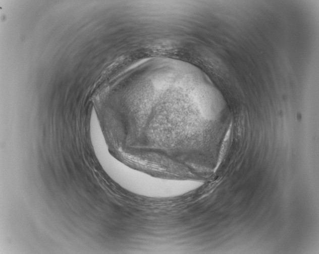 X0000052641346200507221805