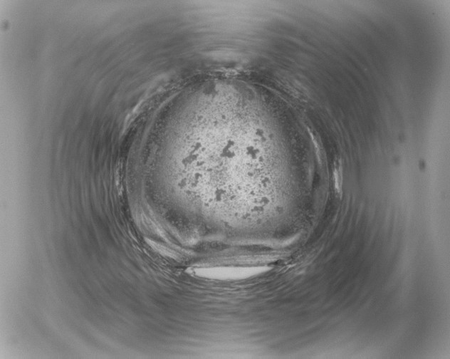 X0000052641347200507221805