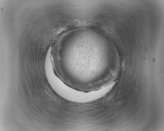 X0000052641348200507221805