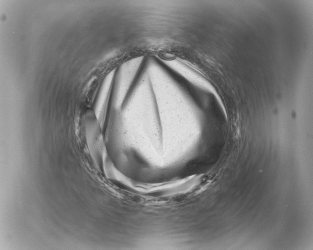 X0000052641349200507221805