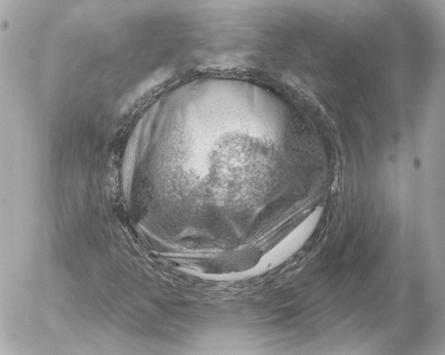 X0000052641350200507221805