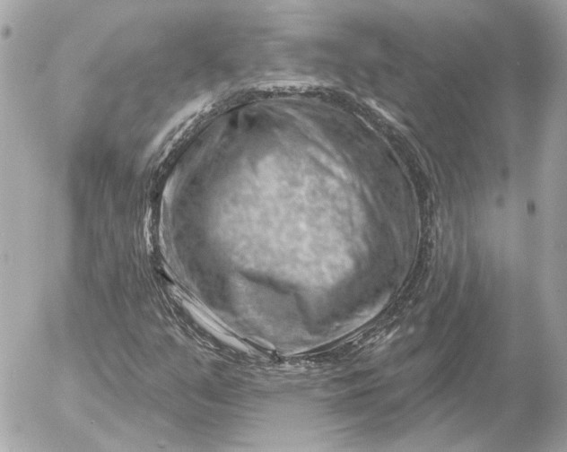 X0000052641351200507221805