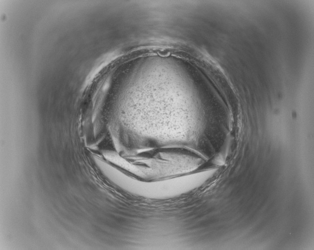 X0000052641352200507221805