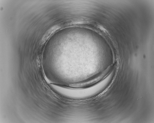 X0000052641353200507221805