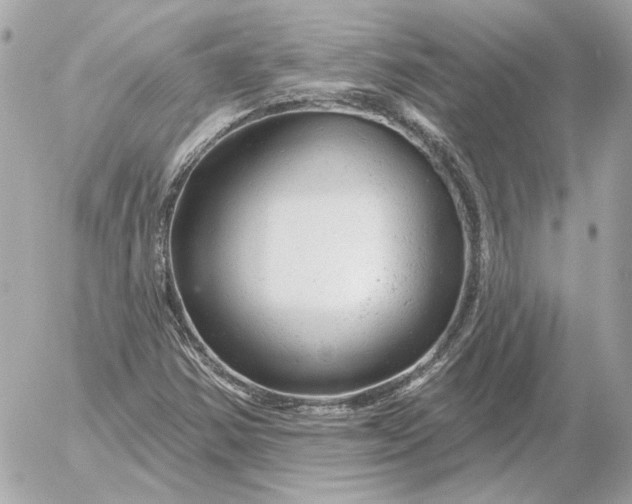 X0000052641354200507221805