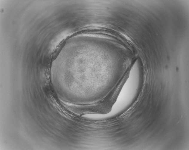 X0000052641355200507221805