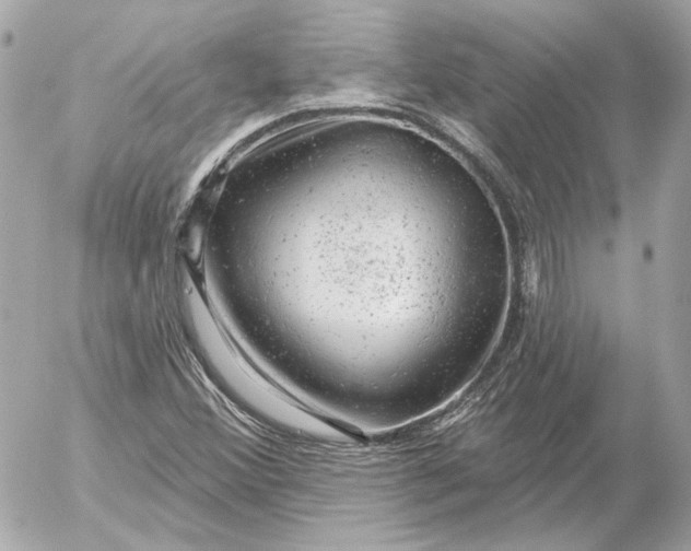 X0000052641356200507221805