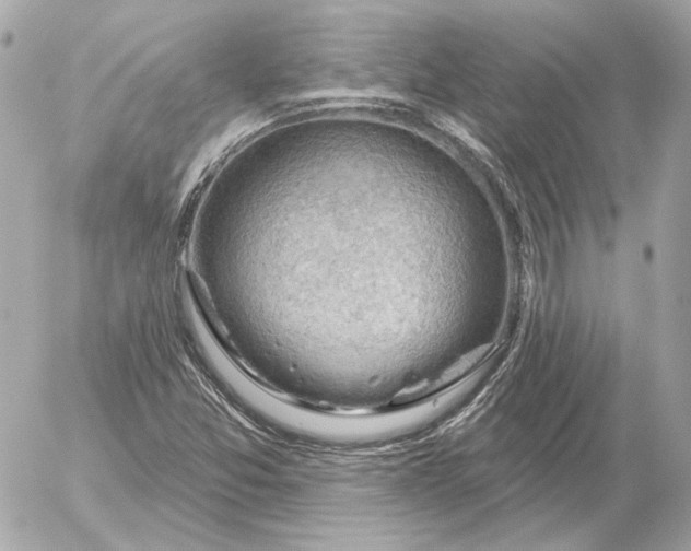 X0000052641357200507221805