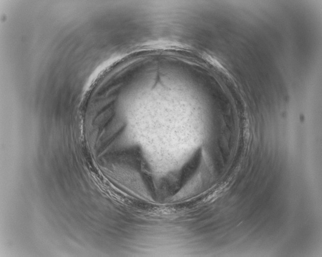 X0000052641358200507221805