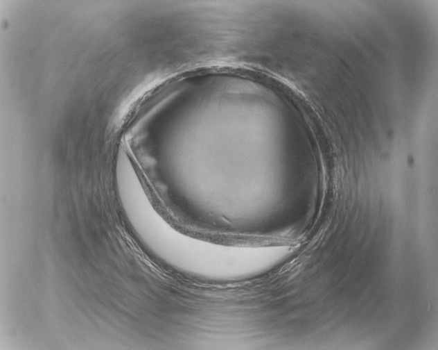 X0000052641359200507221805