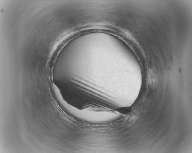 X0000052641360200507221805