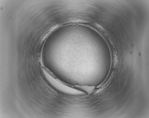 X0000052641361200507221804