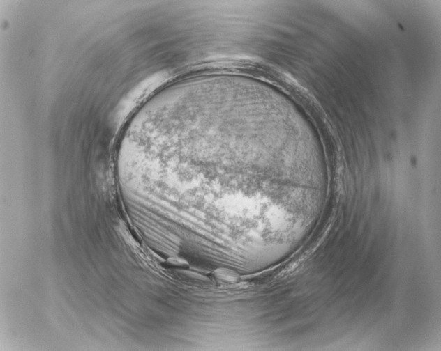 X0000052641362200507221804