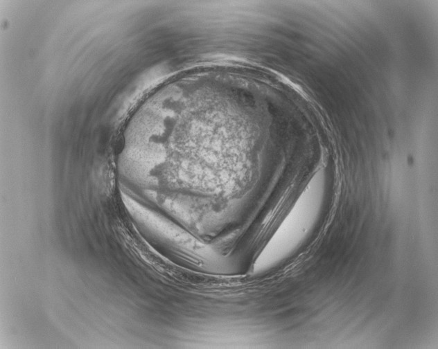 X0000052641363200507221804