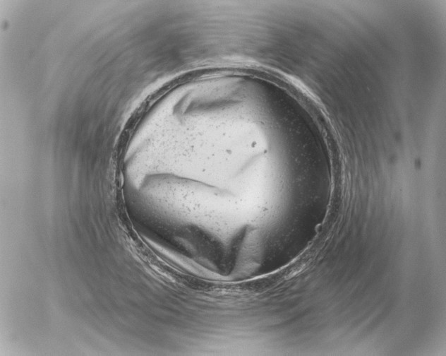 X0000052641364200507221804