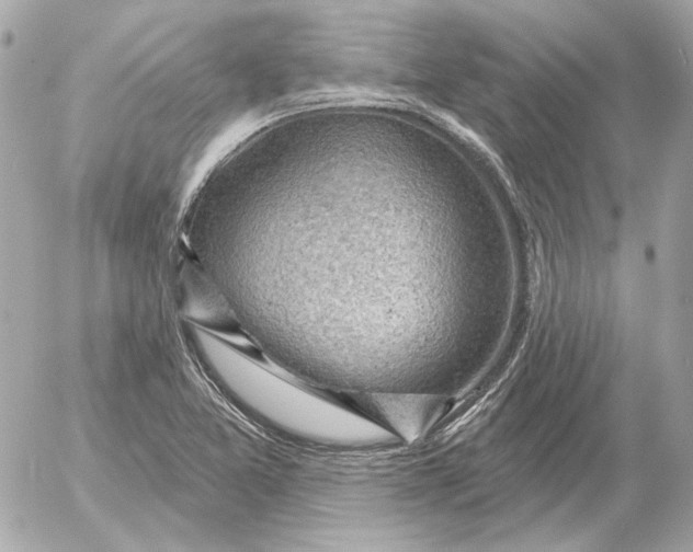 X0000052641365200507221804