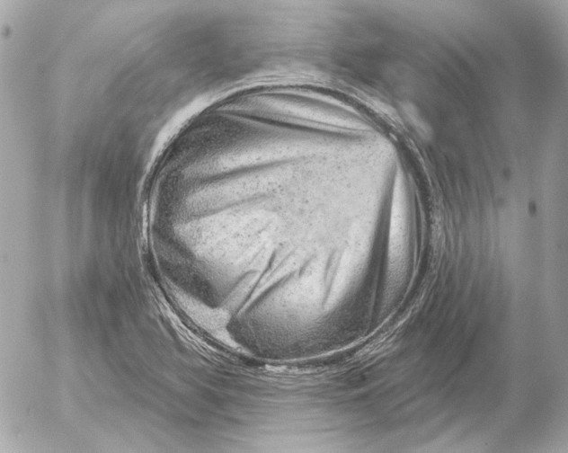 X0000052641366200507221804