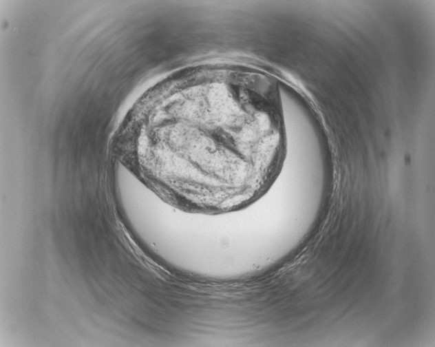 X0000052641368200507221804