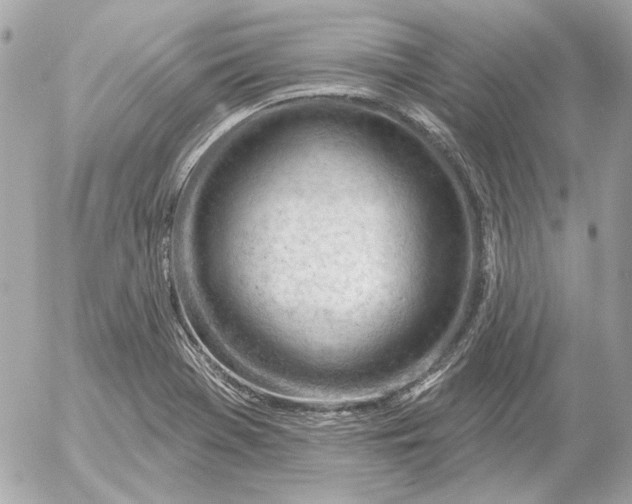 X0000052641369200507221804