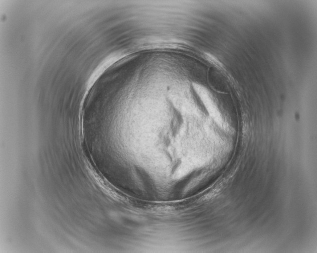 X0000052641370200507221804