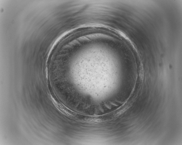 X0000052641372200507221804