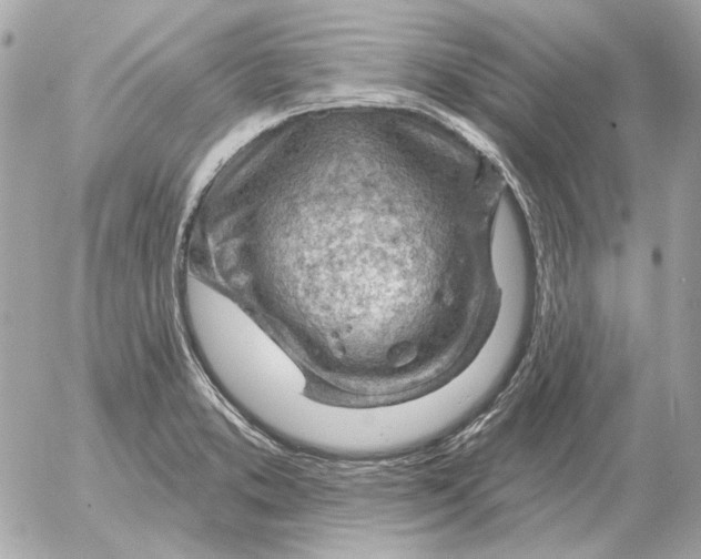 X0000052641373200507221804