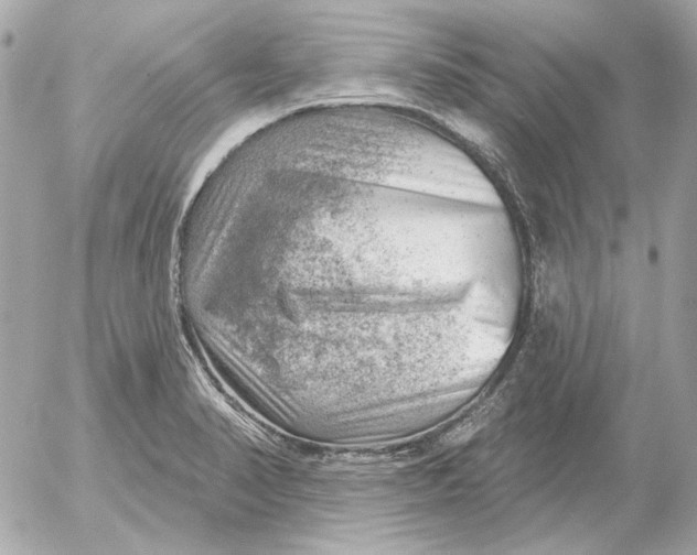 X0000052641374200507221804