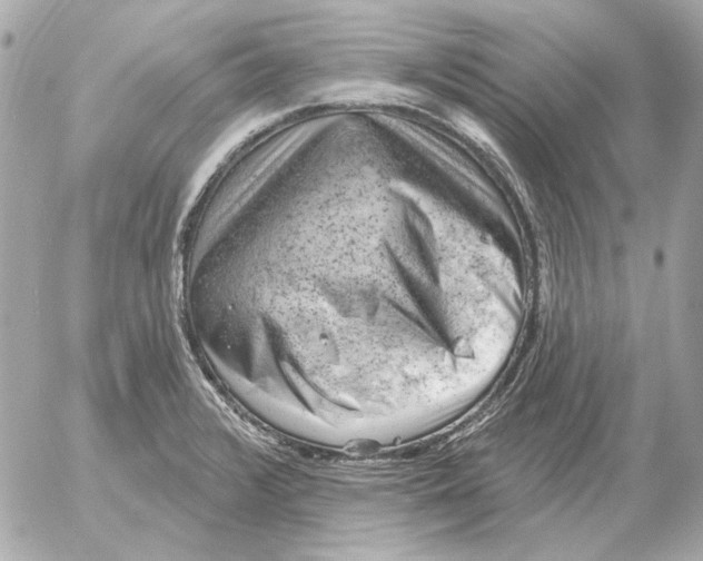 X0000052641376200507221804