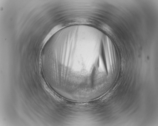 X0000052641378200507221804