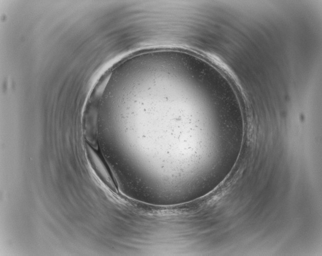 X0000052641380200507221804