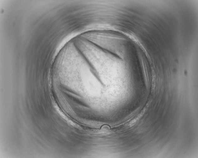 X0000052641382200507221804