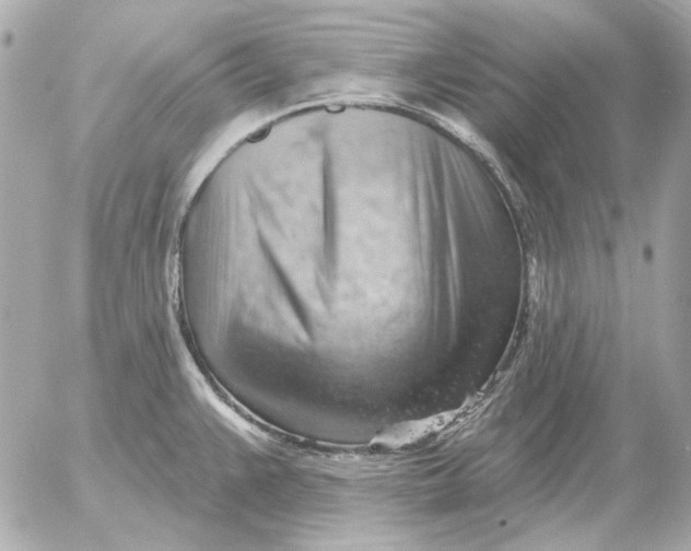 X0000052641383200507221804