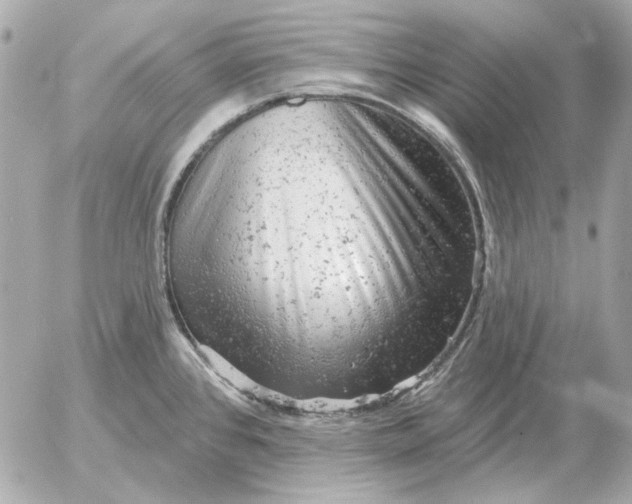 X0000052641384200507221804